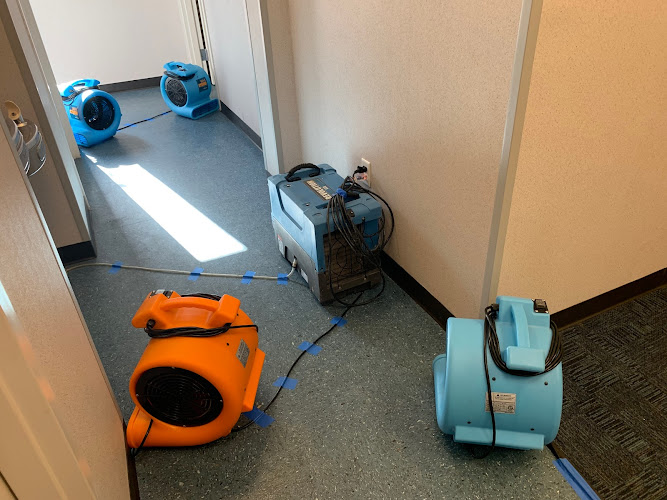 Lake Worth Mold Remediation Pros