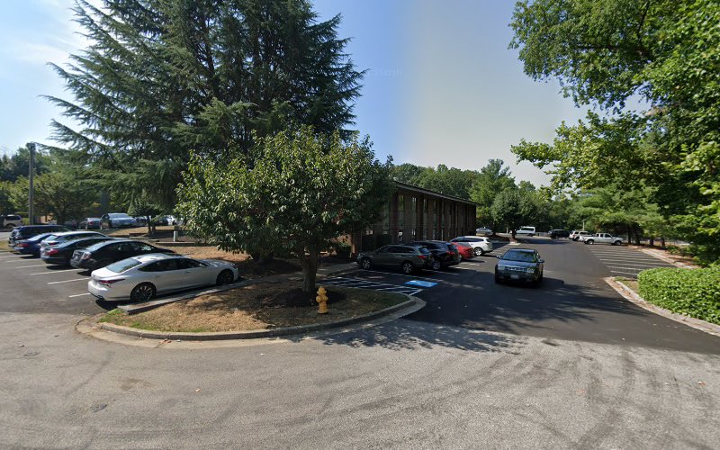 Prime Mold Removal & Inspection