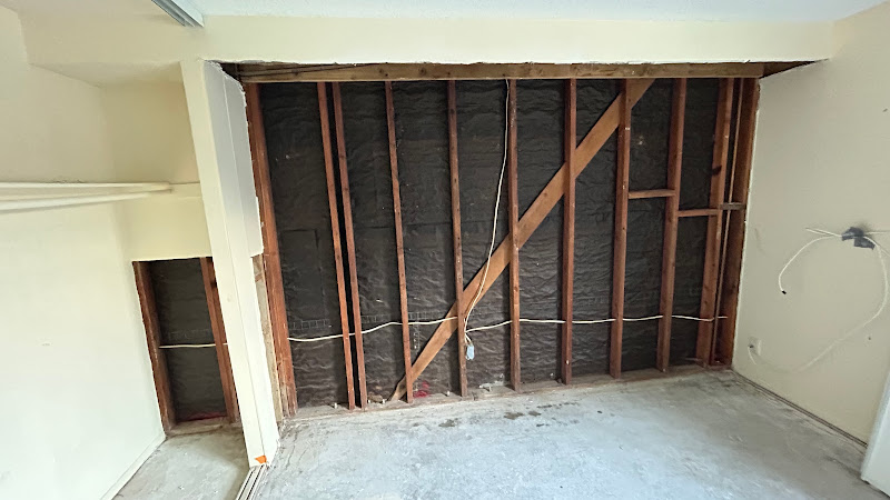 Ray Lewis Certified Mold Inspection