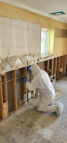 Doigg's Restoration & Cleaning