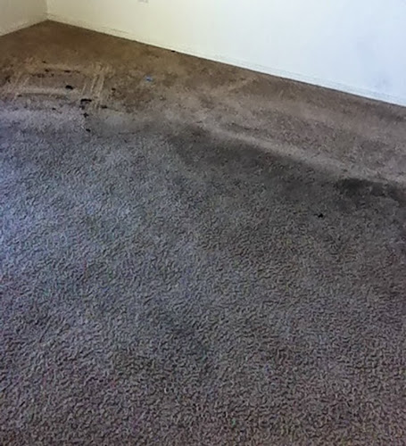 Love Cleaning Services