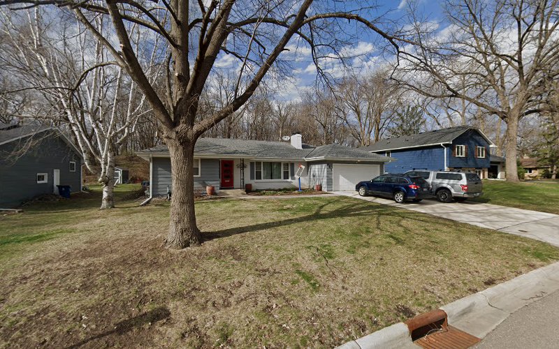 Excelsior Carpet cleaning(Dan Patch)