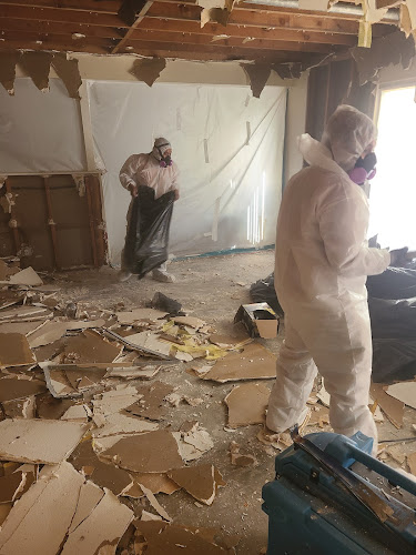 Allegiance Restoration & Services