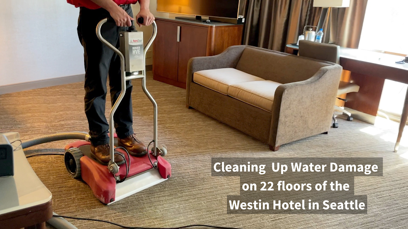 PuroClean of Tacoma East