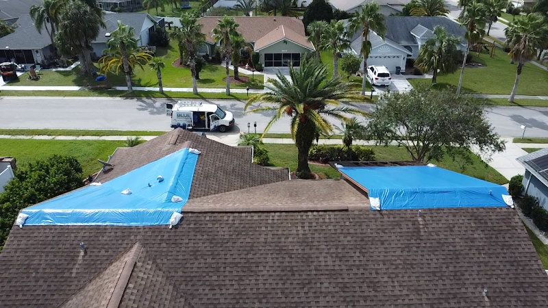 Blue Restoration Services