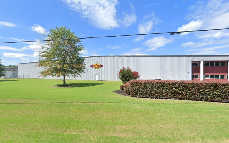 Greer Mold Removal Team