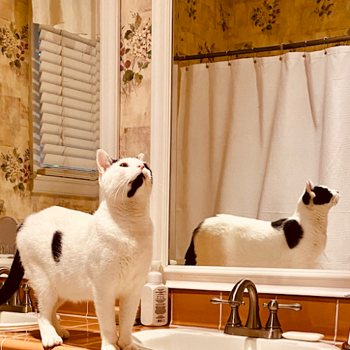 SERVPRO of South Mecklenburg County