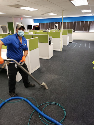 Alladin's Magic Carpet Cleaner