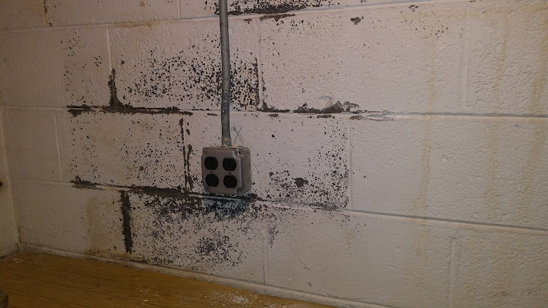 Restoration and Environmental Safety Technologies (REST Environmental)