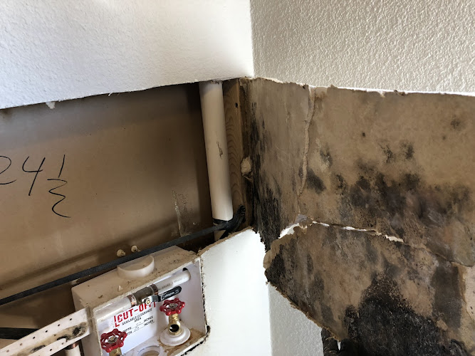 White Mountain Restoration