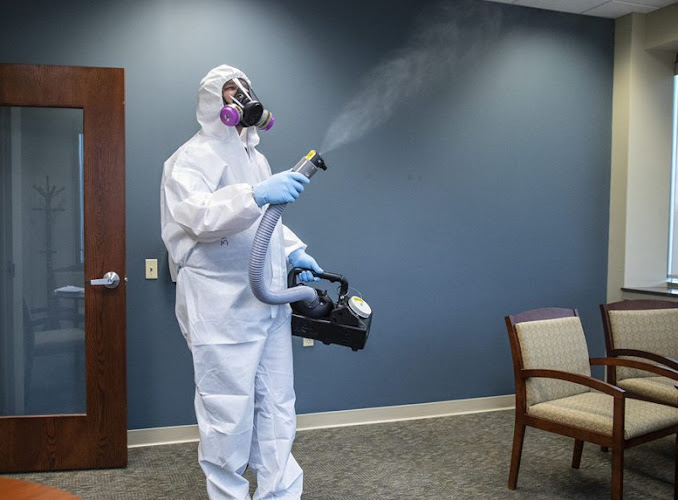 Carmel's Mold Removal