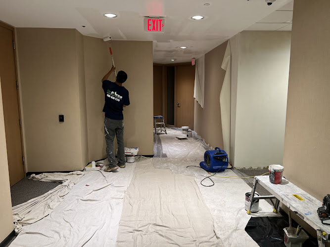 DriForce Property Restoration