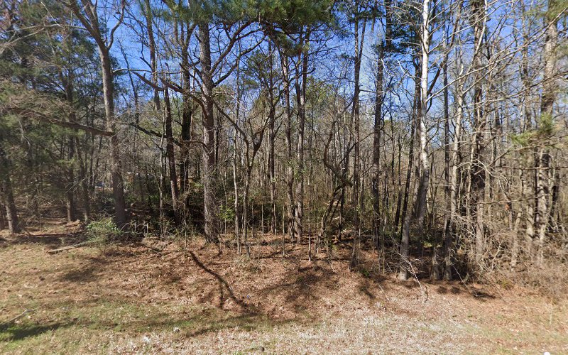 Water Damage Solutions