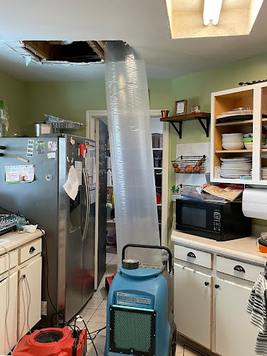 Blackwood Restoration