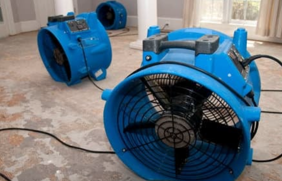 Mold Remediation Experts-SeaTac