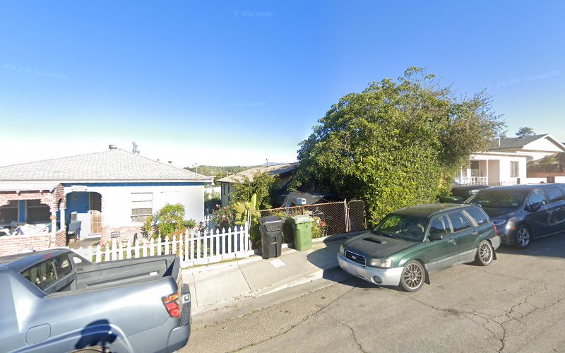 Mold Remediation Experts