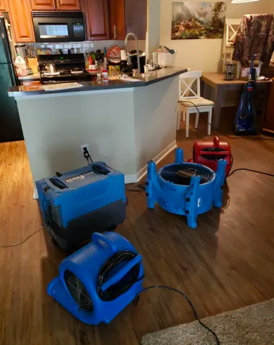 Ultimate Carpet Restoration Inc.