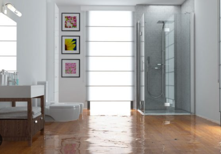 Revive Restoration Nation