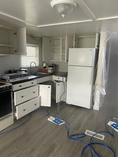 Pure Maintenance Mold Removal