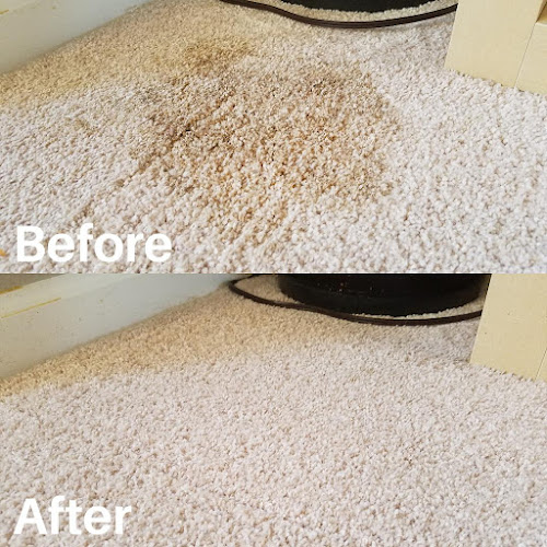 Salado Enterprises Carpet Cleaning