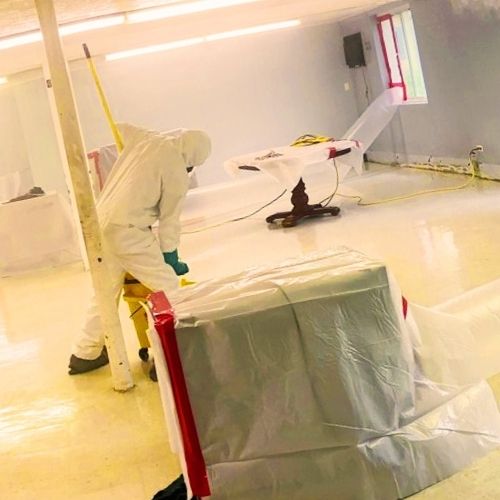 Armatura Mold Remediation