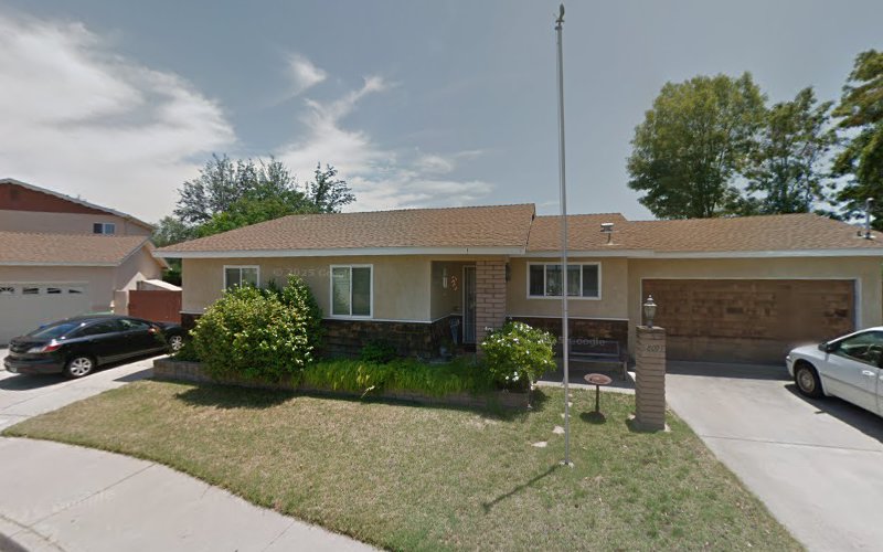 Rapid Mold Removal Service