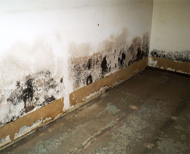 Water Damage Hicksville