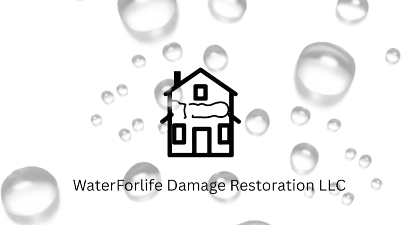 WaterForlife Damage Restoration LLC
