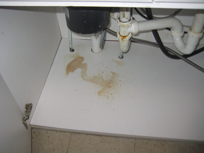 Regis Claims Consultants