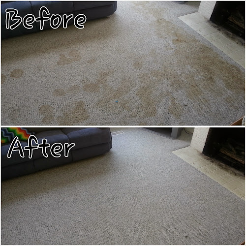 A Clean Choice Carpet Cleaning Inc.