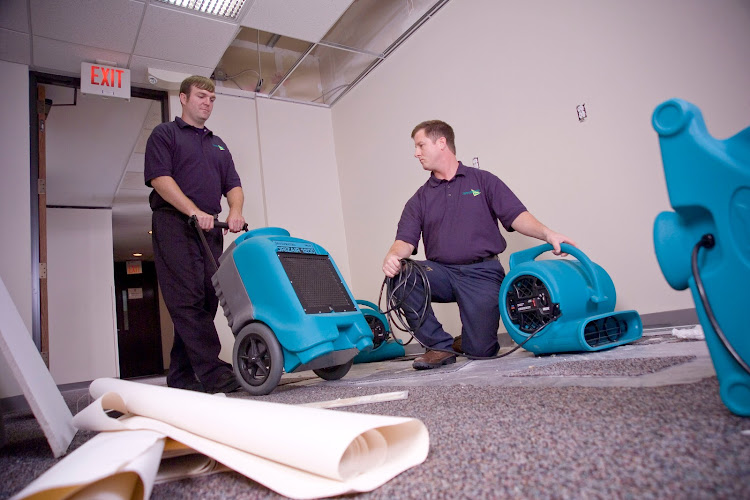 Majestic Maids Inc. DBA AERODRY