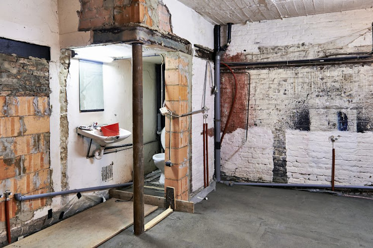 Mold Removal Indianapolis