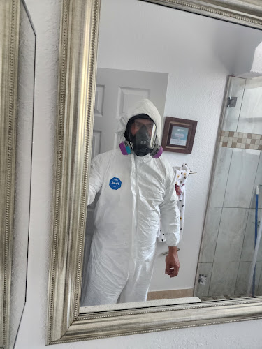 DryXpert Llc Mold Testing and Removal Broward