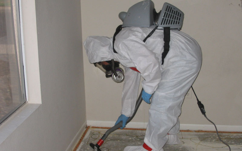 Mold Removal