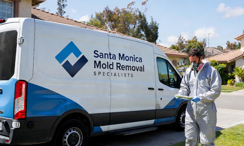 Santa Monica Mold Removal Specialists