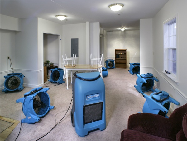 Organic Carpet Cleaning West Hollywood