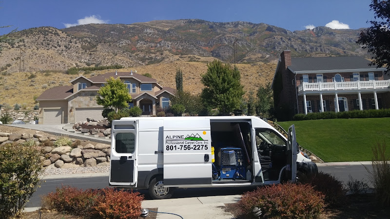 Alpine Professional Carpet Care