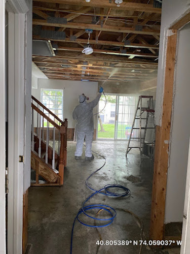 Consolidated Environmental Inc