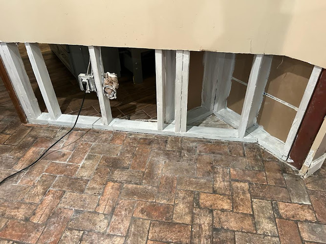 Dolphin Mold Removal