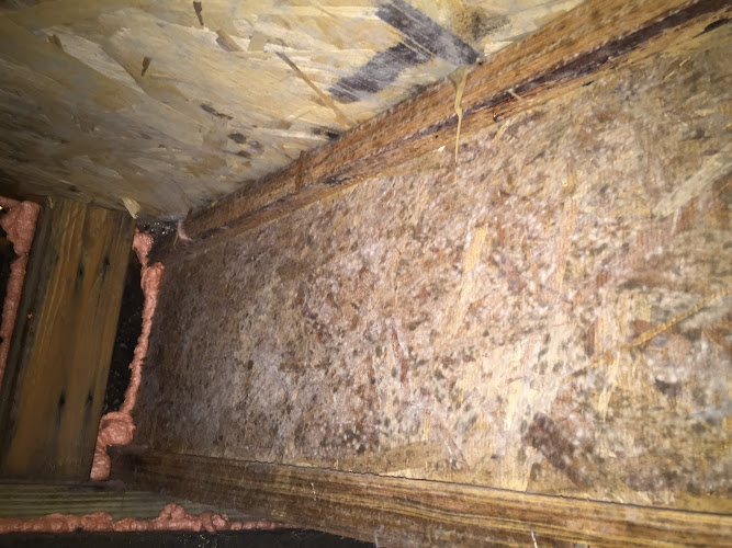 True North Restoration Fort Collins CO