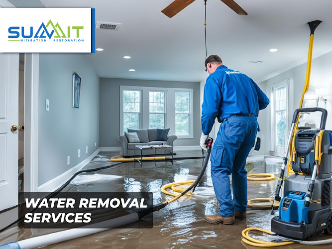 Summit Mitigation Restoration