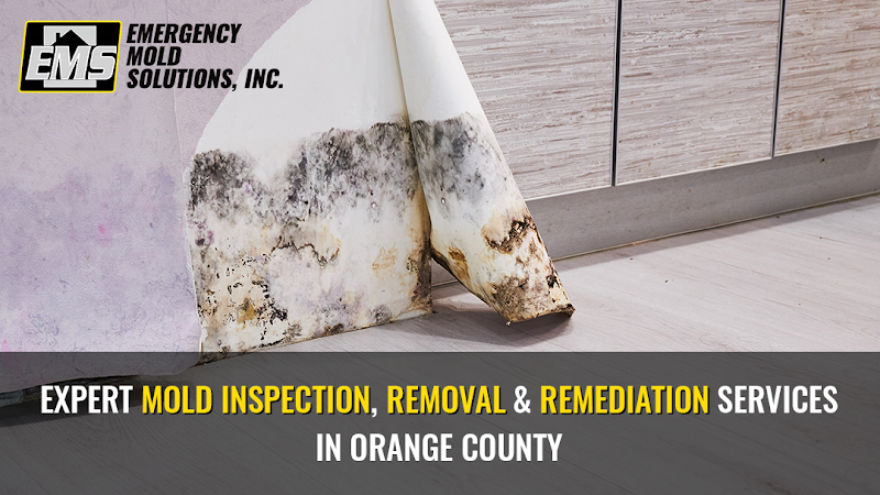 Emergency Mold Restoration of Orange County