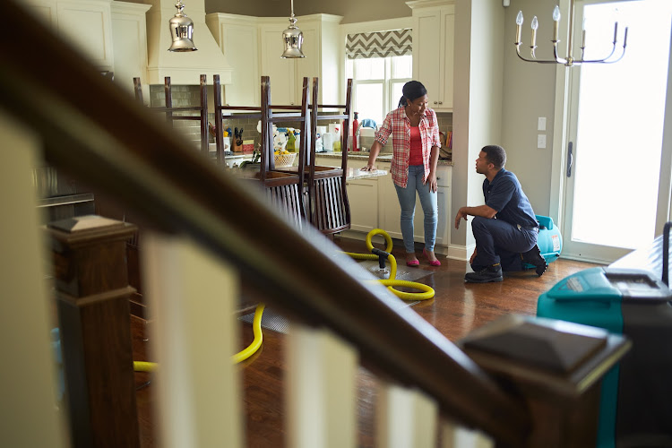 ServiceMaster Of Rochester