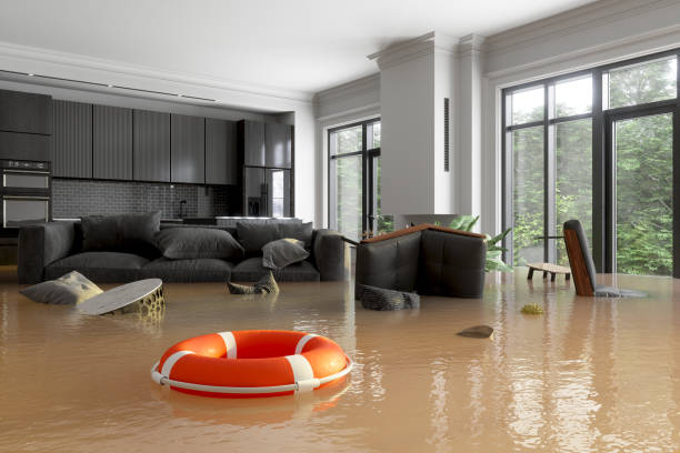 Senoia GA Water Damage Services