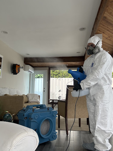 Mold Remediation Services of Florida