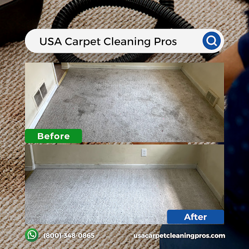 USA Carpet Cleaning Pros - River North