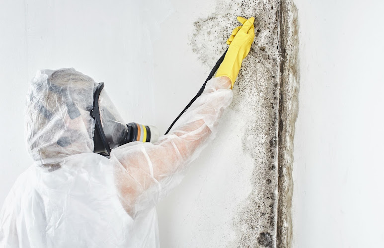 Mold Experts of Sacramento