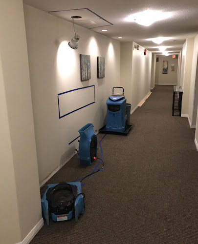 Salt Air Recovery & Mold Co