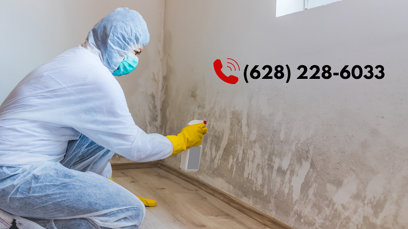 Sacramento Mold Professionals