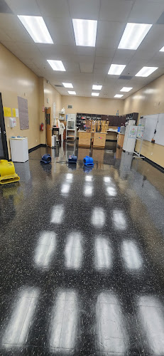 PLUS 1 CARPET CARE CLEANING & RESTORATION SERVICES